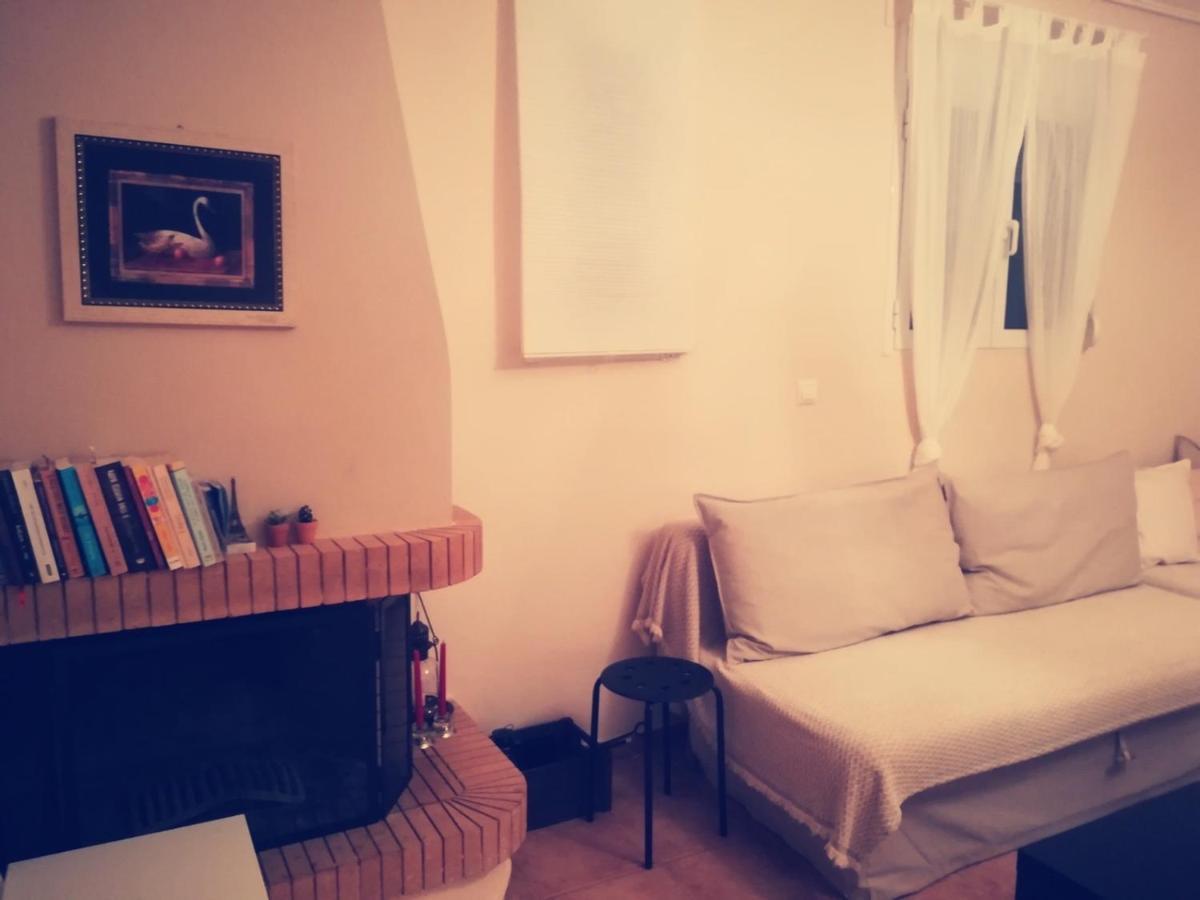 Lux House Next To The Airport Of Athens. Transport 24H Villa Artemida  Luaran gambar